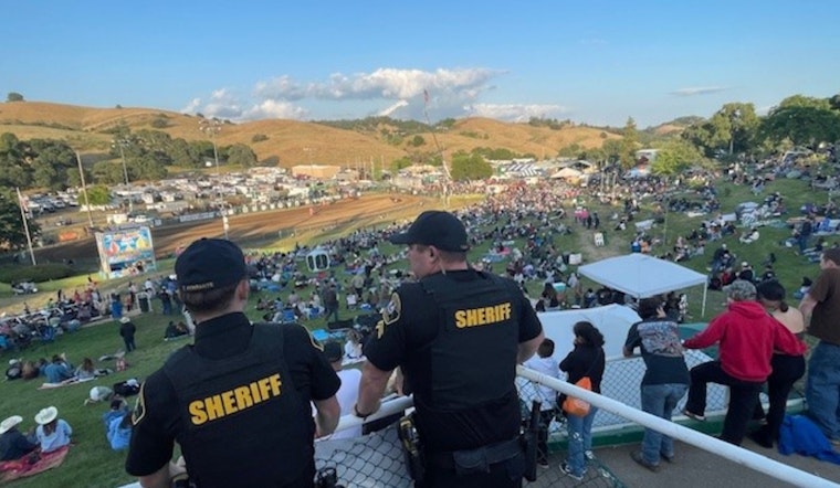 Sheriff's Frog Leaps to Victory at Calaveras County Fair and Jumping Frog Jubilee