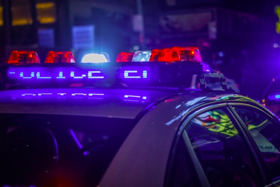 SLMPD Responds to Brawl at Tower Grove Park with One Arrest as Officers Work to Ensure Public Safety