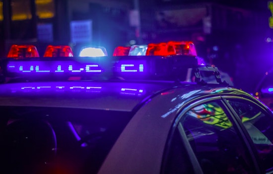 SLMPD Responds to Brawl at Tower Grove Park with One Arrest as Officers Work to Ensure Public Safety