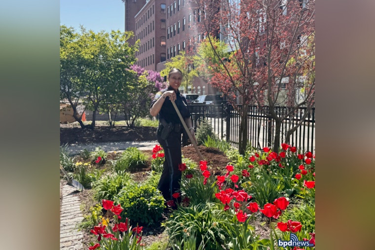 South Boston's "Love Your Block" Event Fosters Unity as Residents and Officers Beautify Fort Point Together