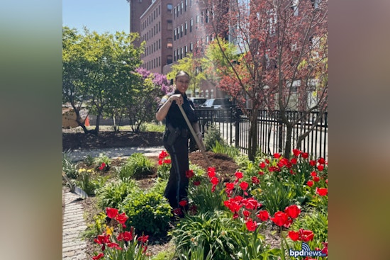 South Boston's "Love Your Block" Event Fosters Unity as Residents and Officers Beautify Fort Point Together