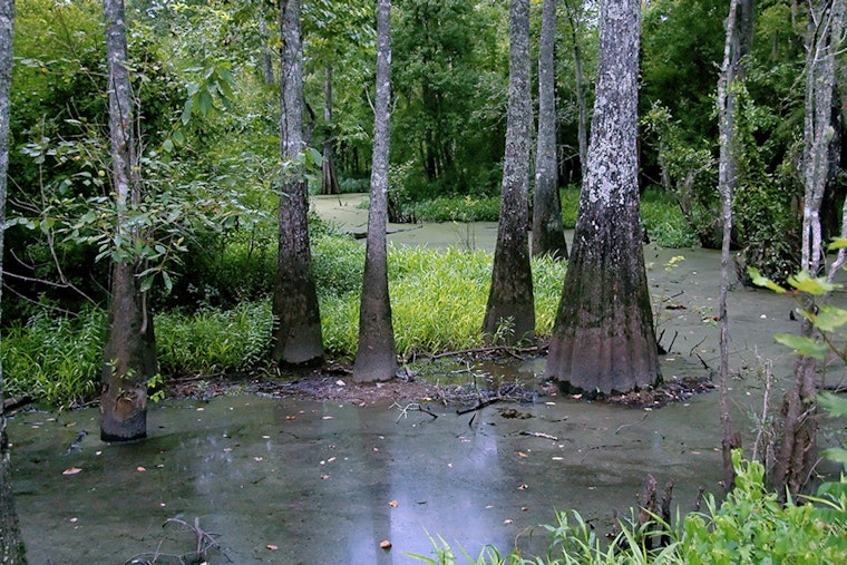 South Farm in Sherburne Wildlife Management Area Temporarily Closed Due to Flooding