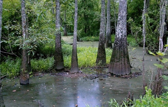 South Farm in Sherburne Wildlife Management Area Temporarily Closed Due to Flooding