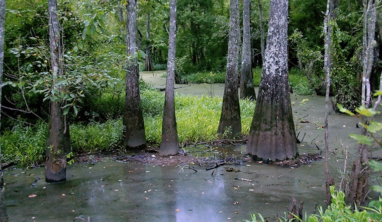 South Farm in Sherburne Wildlife Management Area Temporarily Closed Due to Flooding