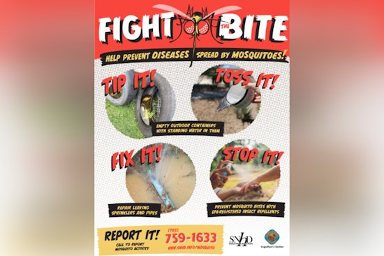 Southern Nevada Ramps Up Battle Against Mosquito-Borne Diseases, Officials Urge Public to Report Green Pools