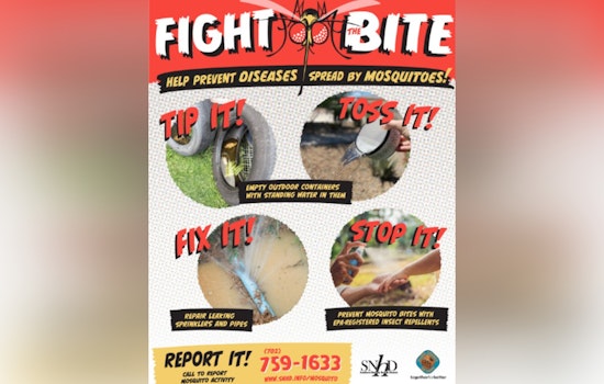 Southern Nevada Ramps Up Battle Against Mosquito-Borne Diseases, Officials Urge Public to Report Green Pools