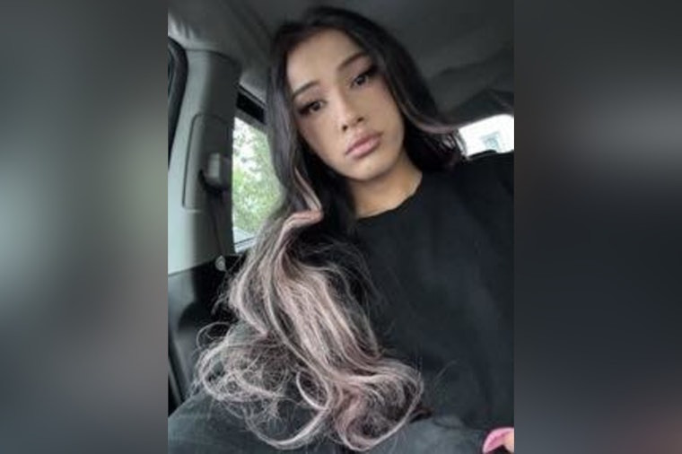 Springfield Police Seek Public's Help in Locating Runaway Teen Possibly Heading to Chicago