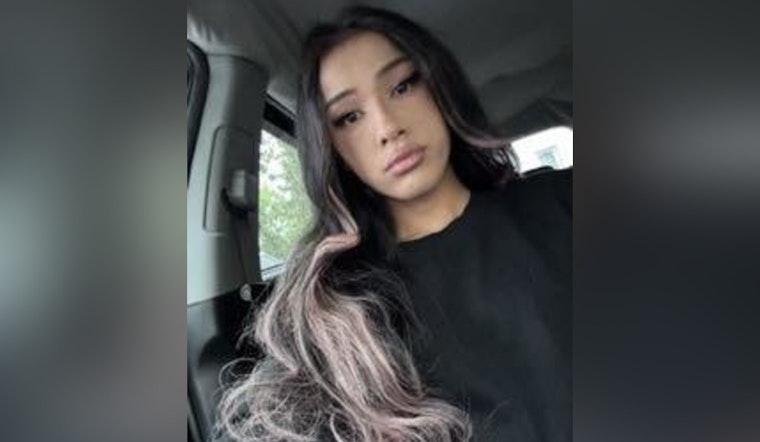 Springfield Police Seek Public's Help in Locating Runaway Teen Possibly Heading to Chicago