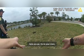 St. Johns County Deputies and Fire Rescue Reunite Eight Ducklings with Mother After Drain Rescue