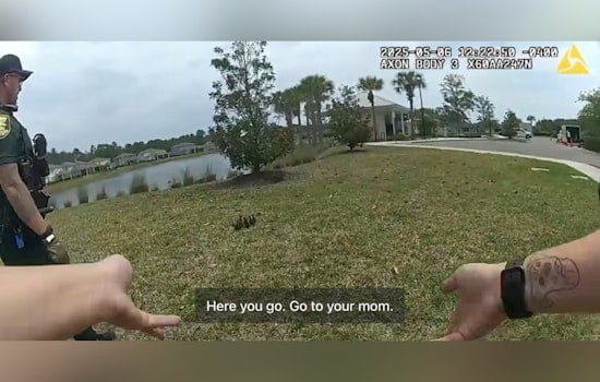 St. Johns County Deputies and Fire Rescue Reunite Eight Ducklings with Mother After Drain Rescue