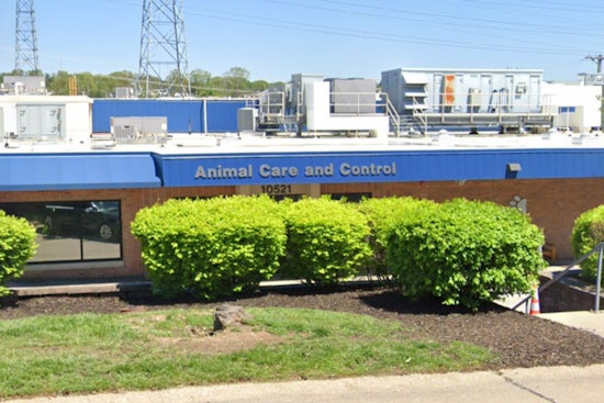 St. Louis County Animal Care and Control's Vet Director Dr. Doug Pernikoff Resigns Amid Parvovirus Outbreak Concerns