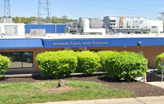 St. Louis County Animal Care and Control's Vet Director Dr. Doug Pernikoff Resigns Amid Parvovirus Outbreak Concerns