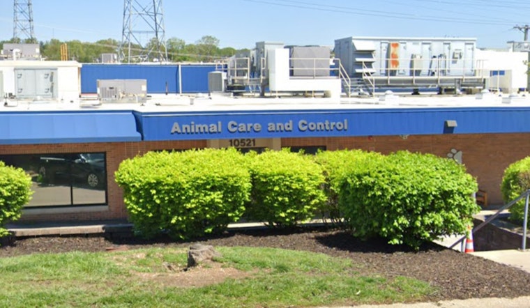 St. Louis County Animal Care and Control's Vet Director Dr. Doug Pernikoff Resigns Amid Parvovirus Outbreak Concerns