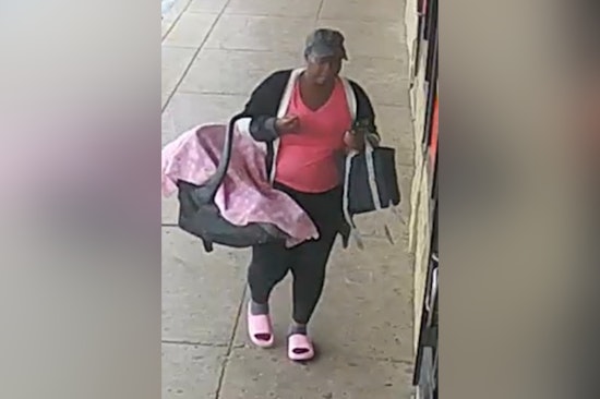 St. Louis Police Seek Help to Identify Suspects in Family Dollar Theft in The Gate Neighborhood