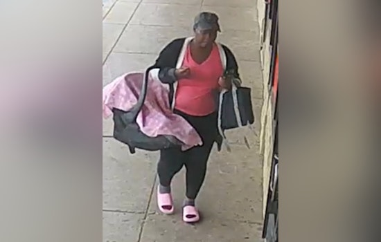 St. Louis Police Seek Help to Identify Suspects in Family Dollar Theft in The Gate Neighborhood