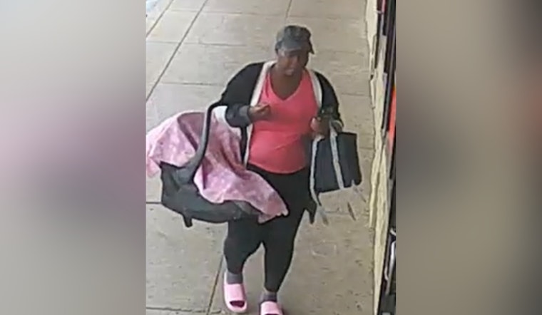 St. Louis Police Seek Help to Identify Suspects in Family Dollar Theft in The Gate Neighborhood