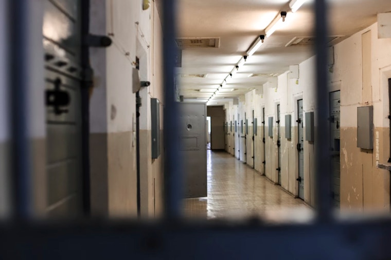 St. Louis Predator Sentenced to 25 Years for Child Exploitation Horrors