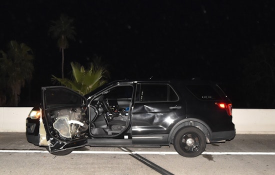 St. Petersburg Woman Pleads Guilty to Fleeing Scene of Crash Involving Police Officer