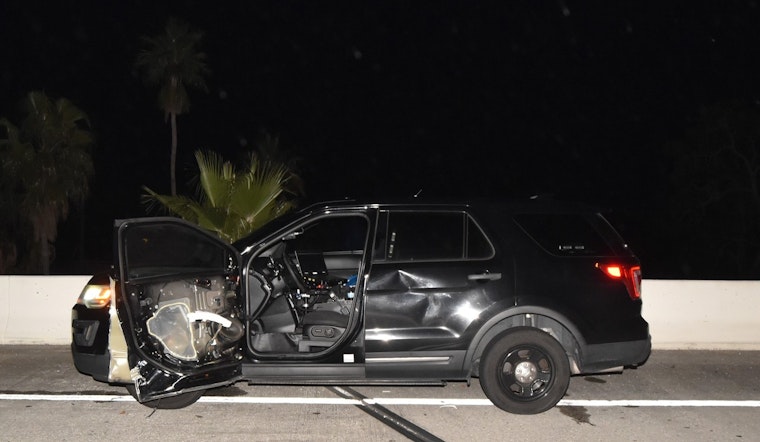 St. Petersburg Woman Pleads Guilty to Fleeing Scene of Crash Involving Police Officer