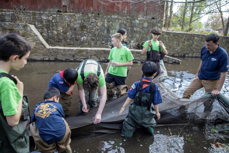 Staten Island Students Become Citizen Scientists in Annual Eel Count, Signaling Healthier NYC Waterways