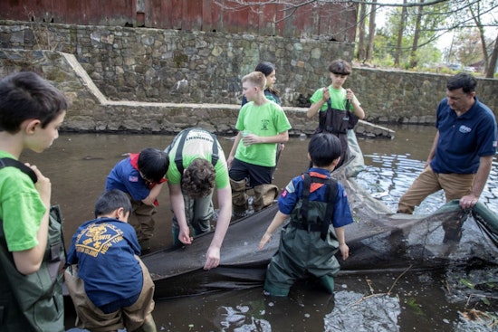Staten Island Students Become Citizen Scientists in Annual Eel Count, Signaling Healthier NYC Waterways