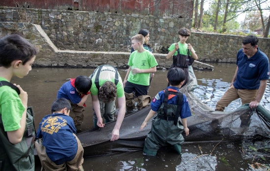 Staten Island Students Become Citizen Scientists in Annual Eel Count, Signaling Healthier NYC Waterways