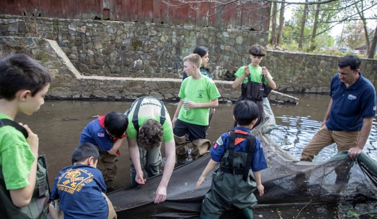 Staten Island Students Become Citizen Scientists in Annual Eel Count, Signaling Healthier NYC Waterways