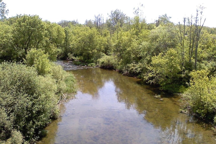 Sterling Heights Officer Hailed as Hero for Rescuing Kayaker on Clinton River