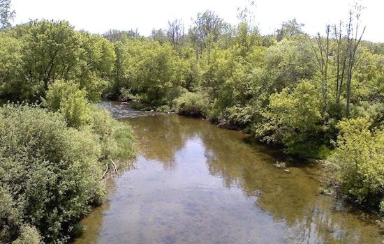 Sterling Heights Officer Hailed as Hero for Rescuing Kayaker on Clinton River
