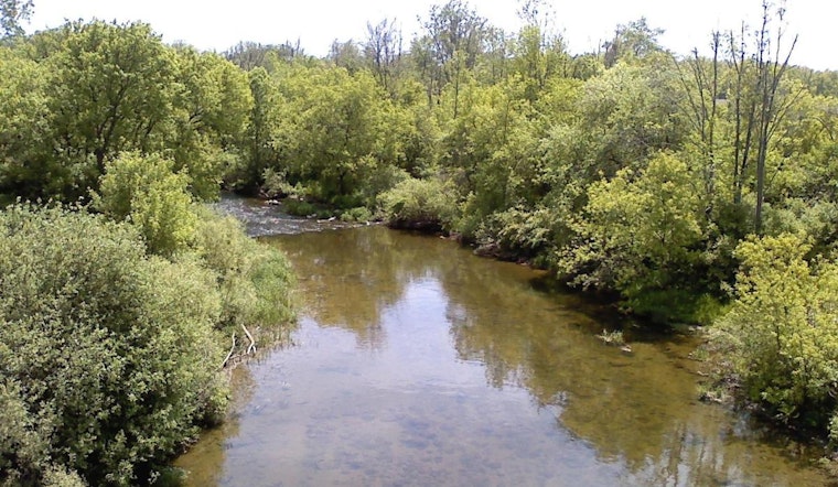 Sterling Heights Officer Hailed as Hero for Rescuing Kayaker on Clinton River