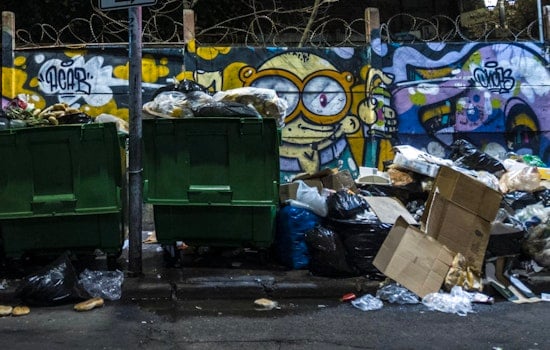 Survey Reveals Over a Third of New Yorkers Admit to Littering, Young Men in Bronx and Queens Leading the Trend
