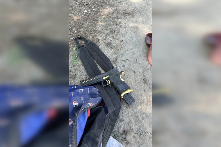 Suspect in Domestic Violence Incident Apprehended After Sacramento Police Shooting