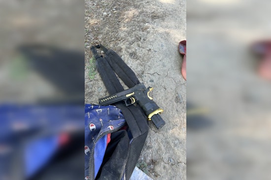 Suspect in Domestic Violence Incident Apprehended After Sacramento Police Shooting