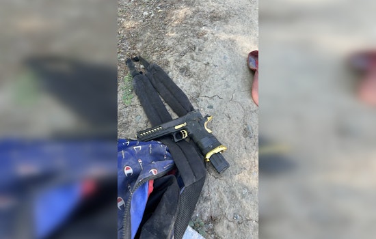 Suspect in Domestic Violence Incident Apprehended After Sacramento Police Shooting