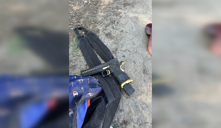 Suspect in Domestic Violence Incident Apprehended After Sacramento Police Shooting