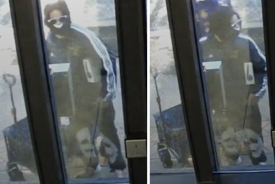 Suspect Sought for Burglary Involving Firearm Theft at Downtown St. Louis' Dorsa Lofts