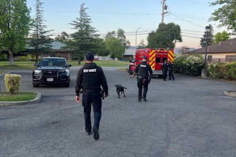 Suspected Assault Leads to Arrest of Parolee in Petaluma Following Tense Chase
