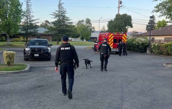 Suspected Assault Leads to Arrest of Parolee in Petaluma Following Tense Chase