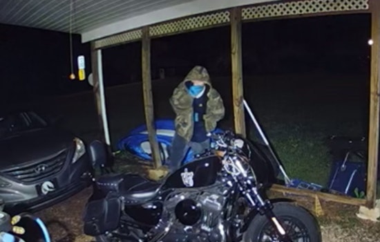 Sweetwater on Alert: Authorities Seek Public's Help to Solve String of Vehicle Break-ins