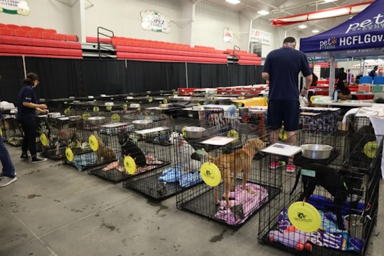 Tampa Bay Area Gears Up for 3rd Annual Mega Dog Adoption Event at Florida Strawberry Festival Fairgrounds
