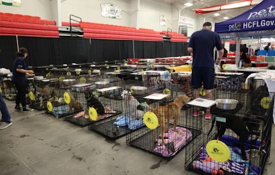 Tampa Bay Area Gears Up for 3rd Annual Mega Dog Adoption Event at Florida Strawberry Festival Fairgrounds