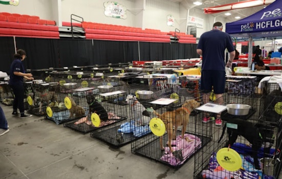 Tampa Bay's 3rd Annual Mega Dog Adoption Event to Welcome Over 300 Dogs at Florida Strawberry Festival Fairgrounds