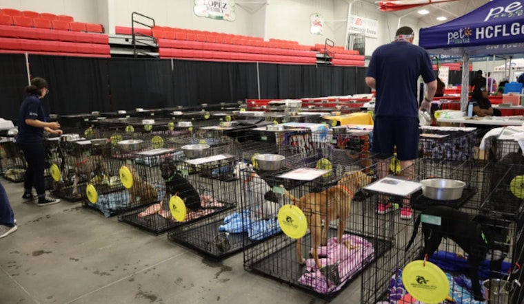 Tampa Bay's 3rd Annual Mega Dog Adoption Event to Welcome Over 300 Dogs at Florida Strawberry Festival Fairgrounds