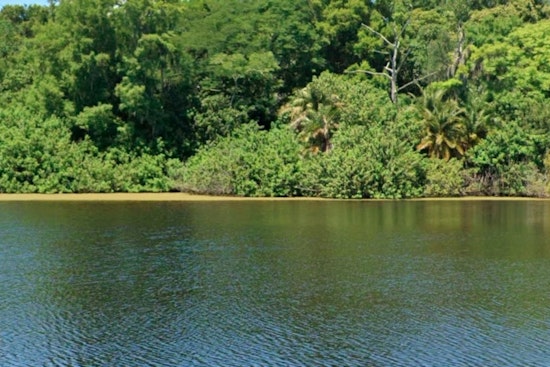 Tampa Emergency Crews Scramble to Contain Wastewater Spill in Hillsborough River