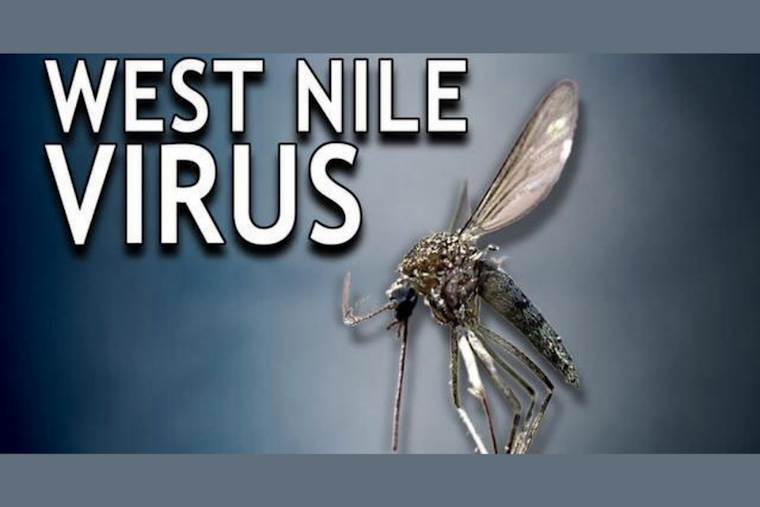 Tarrant County Reports First Positive West Nile Virus Mosquito Sample of the Season