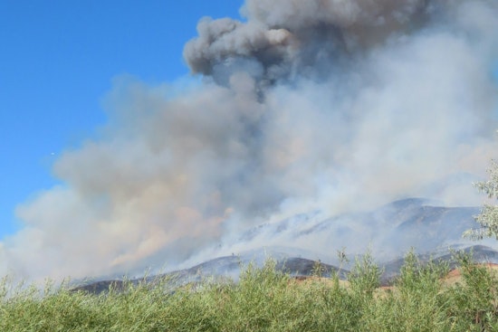 Teams Halt Progress of Brush Fire Near Studio City's Coldwater Canyon Avenue