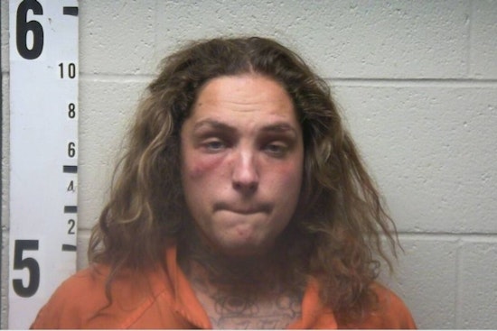 Tennessee Man Dylan Petrizzo Charged with Aggravated Assault on Mother in Drummonds