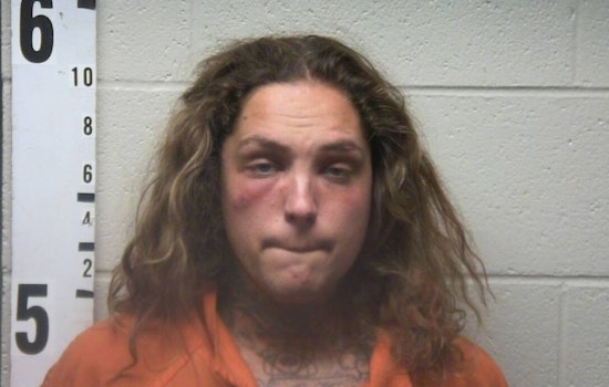 Tennessee Man Dylan Petrizzo Charged with Aggravated Assault on Mother in Drummonds