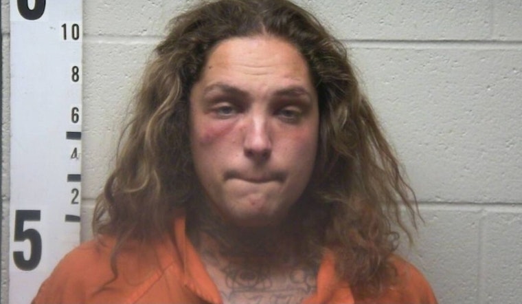 Tennessee Man Dylan Petrizzo Charged with Aggravated Assault on Mother in Drummonds
