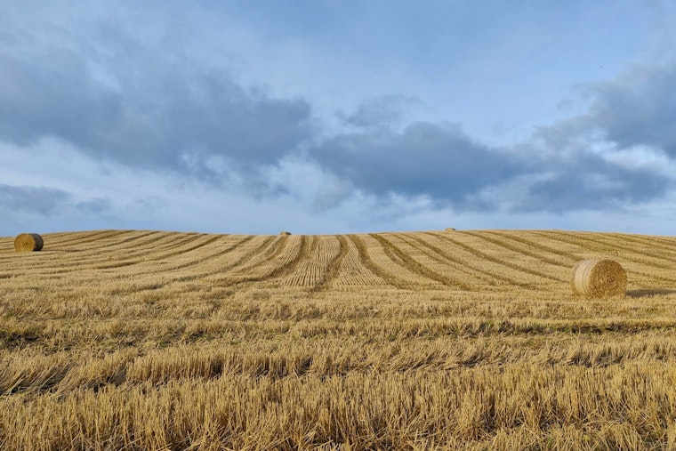 Tennessee's Governor Bill Lee Signs Farmland Preservation Act to Safeguard Agricultural Heritage